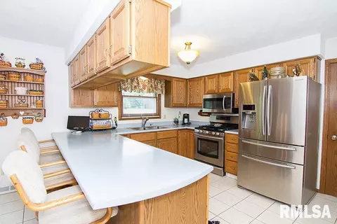 313 Pinecrest Dr, Germantown Hills, IL 61548 photo 14