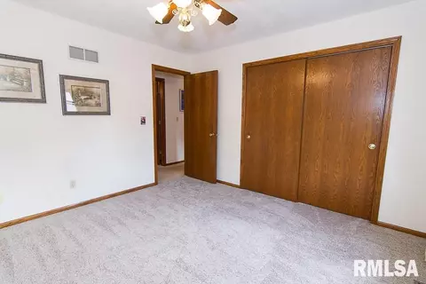 313 Pinecrest Dr, Germantown Hills, IL 61548 photo 19