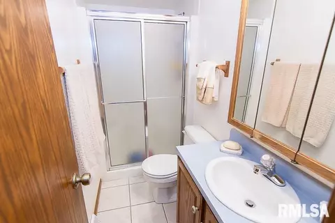 313 Pinecrest Dr, Germantown Hills, IL 61548 photo 23