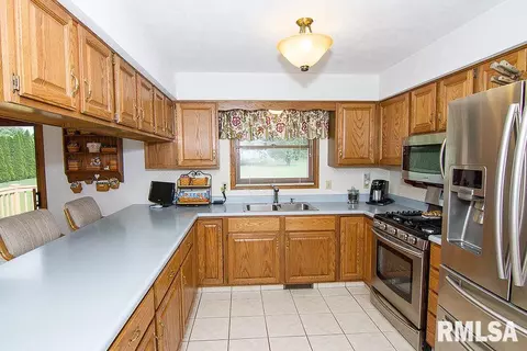 313 Pinecrest Dr, Germantown Hills, IL 61548 photo 8
