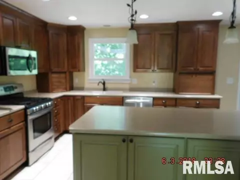 1605 Upper Spring Bay Rd, Metamora, IL 61548 photo 14