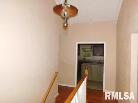 1605 Upper Spring Bay Rd, Metamora, IL 61548 photo 33