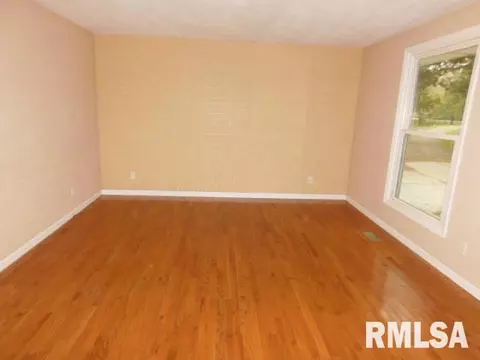 1605 Upper Spring Bay Rd, Metamora, IL 61548 photo 16