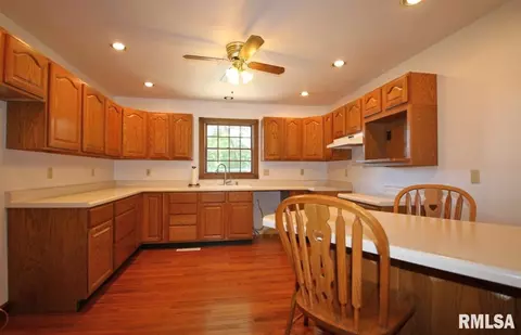 1130 E Sycamore, Canton, IL 61520 photo 8