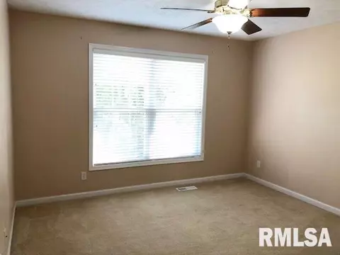 107 W Copperfield Dr, Dunlap, IL 61525 photo 19