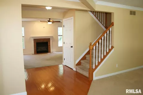 107 W Copperfield Dr, Dunlap, IL 61525 photo 5