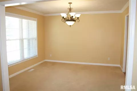 107 W Copperfield Dr, Dunlap, IL 61525 photo 6