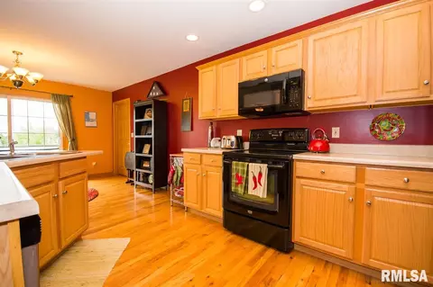 103 Seth Ct, Germantown Hills, IL 61548 photo 9