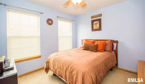 103 Seth Ct, Germantown Hills, IL 61548 photo 21
