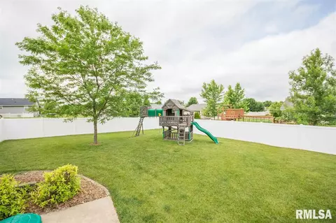 103 Seth Ct, Germantown Hills, IL 61548 photo 31