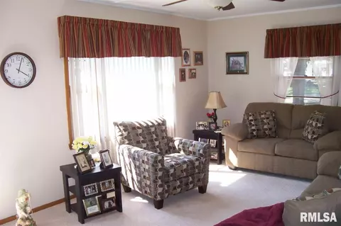 239 Haffner Blvd, Canton, IL 61520 photo 18