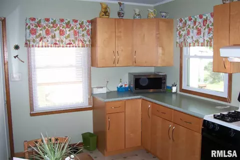 239 Haffner Blvd, Canton, IL 61520 photo 13