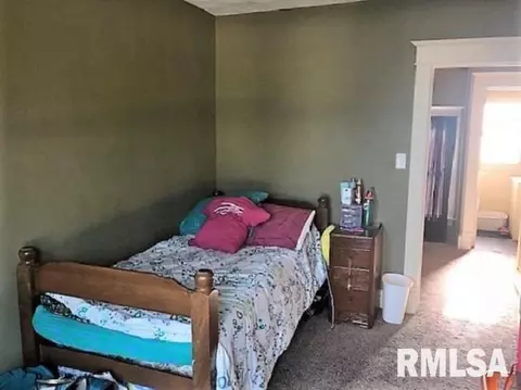 1063 E Chestnut, Canton, IL 61520 photo 27