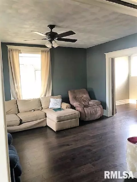 1063 E Chestnut, Canton, IL 61520 photo 3