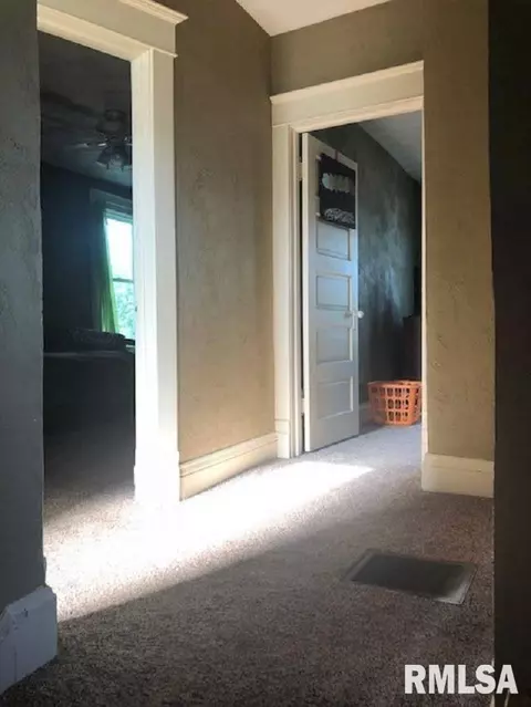 1063 E Chestnut, Canton, IL 61520 photo 19