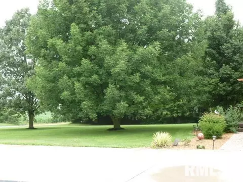 454 Grebner Rd, Metamora, IL 61548 photo 33