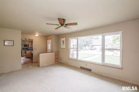 417 E Monroe St, Morton, IL 61550 photo 8