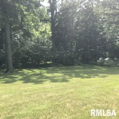 232 E Lyndale Rd, Peoria, IL 61614 photo 24