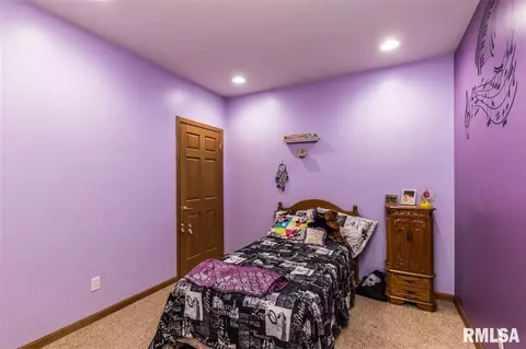 10834 W Timber Rd, Mapleton, IL 61547 photo 32