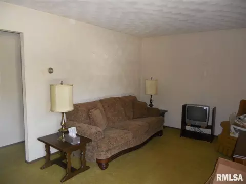 1214 E Locust, Canton, IL 61520 photo 9
