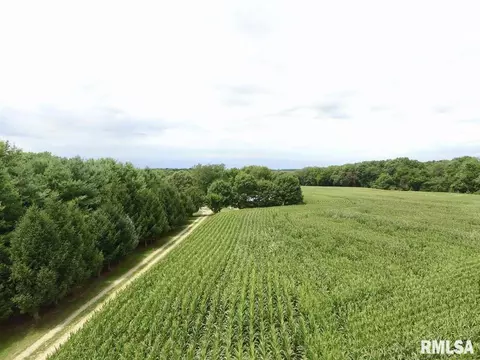 790 Kenyon Ln, Lowpoint, IL 61545 photo 12