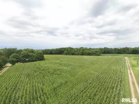 790 Kenyon Ln, Lowpoint, IL 61545 photo 11