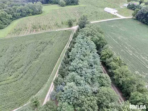 790 Kenyon Ln, Lowpoint, IL 61545 photo 9