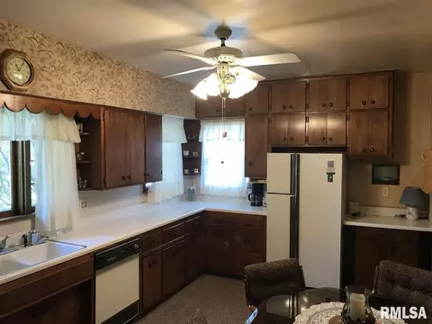 544 E Ash, Canton, IL 61520 photo 8