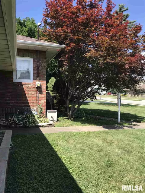 544 E Ash, Canton, IL 61520 photo 18