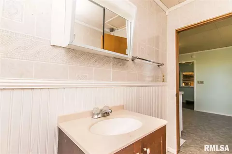113 E Mill St, Roanoke, IL 61561 photo 19