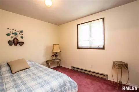 125 N Castle Dr, Dunlap, IL 61525 photo 24