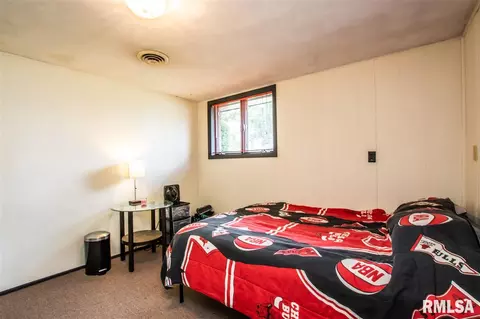 125 N Castle Dr, Dunlap, IL 61525 photo 30