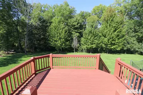 805 S Copperpoint Dr, Dunlap, IL 61525 photo 28