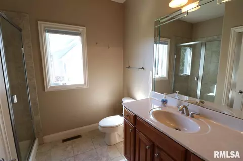 805 S Copperpoint Dr, Dunlap, IL 61525 photo 14