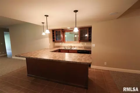 805 S Copperpoint Dr, Dunlap, IL 61525 photo 24
