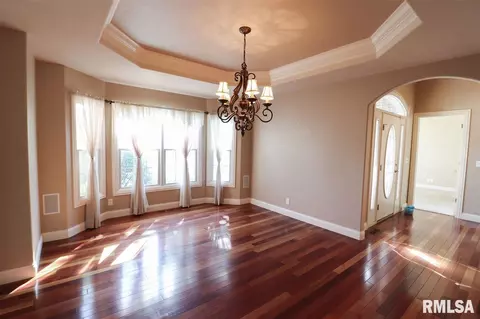 805 S Copperpoint Dr, Dunlap, IL 61525 photo 3