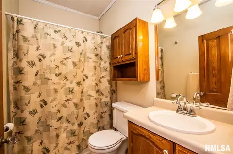834 Maple Ave, Minonk, IL 61760 photo 21