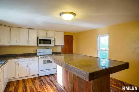 9010 E Manito Rd, Manito, IL 61546 photo 10