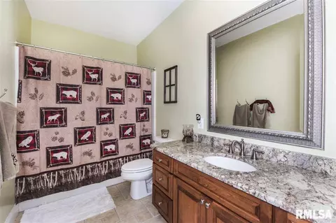 7316 S Ridgebrook Dr, Mapleton, IL 61547 photo 22
