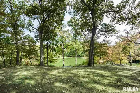 7316 S Ridgebrook Dr, Mapleton, IL 61547 photo 35