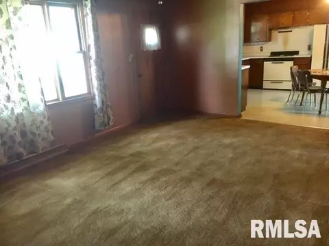 508 E 10th St, Delavan, IL 61734 photo 14