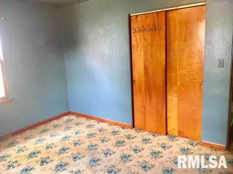 508 E 10th St, Delavan, IL 61734 photo 21