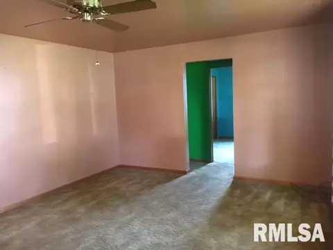 508 E 10th St, Delavan, IL 61734 photo 16