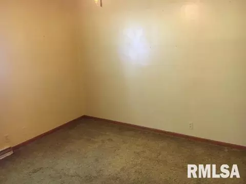 508 E 10th St, Delavan, IL 61734 photo 17
