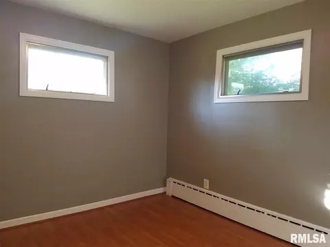 904 3rd St, Lacon, IL 61540 photo 22