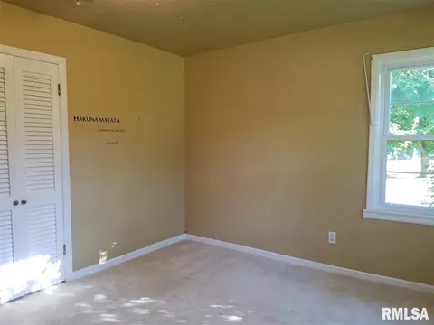 904 3rd St, Lacon, IL 61540 photo 20