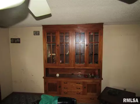 6200 E Holler, Ipava, IL 61441 photo 4
