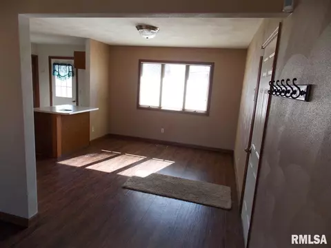 10414 W Sir Tristram Ct, Mapleton, IL 61547 photo 10