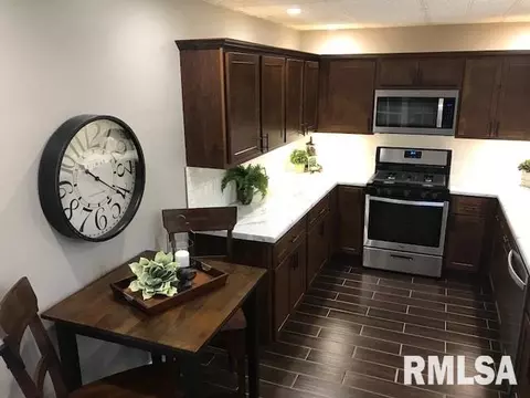 223 N Kickapoo Ter, Peoria, IL 61604 photo 14