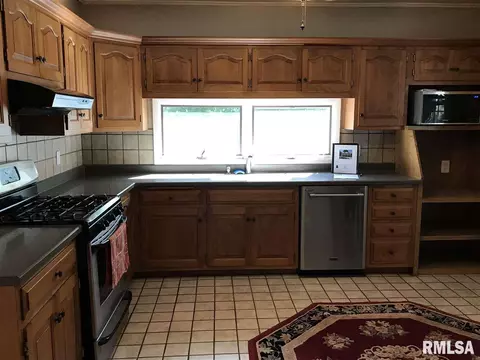 30 Laurel, Canton, IL 61520 photo 2
